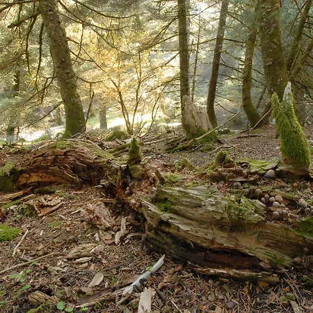 Kalypso & Apartamento